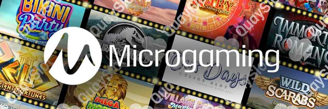 Thông tin tổng quát về đơn vị Micro Gaming