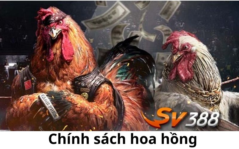 Chi tiết chính sách hoa hồng mới nhất của nhà cái SV388