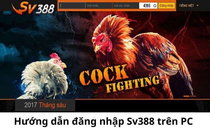 Cách vào tài khoản SV388 nhanh chóng trên máy tính